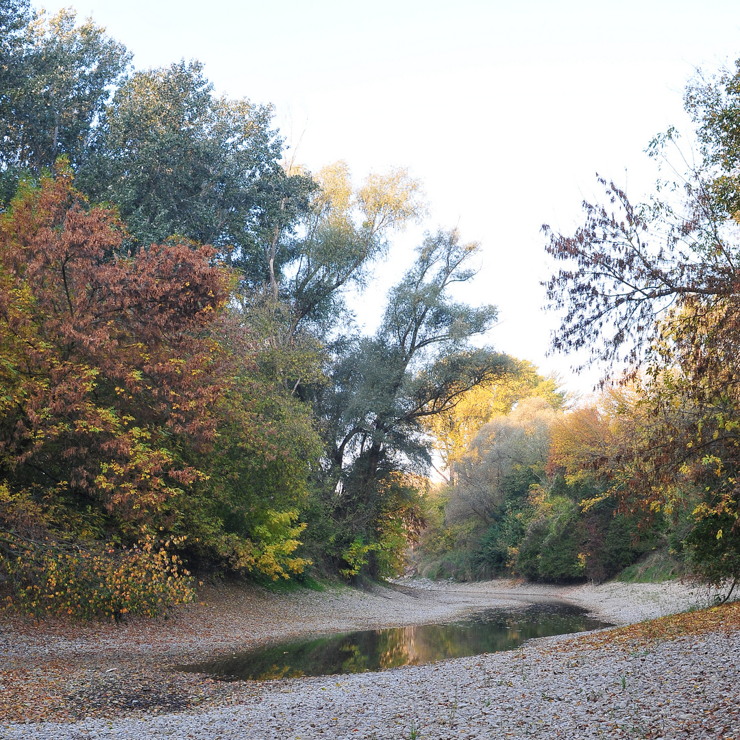 Herbst in den Donauauen