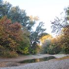 Herbst in den Donauauen