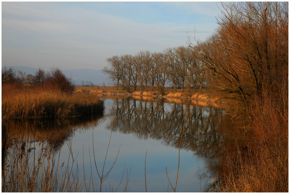 Herbst in den Donauauen