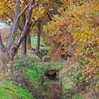 Herbst in den Dorfwiesen