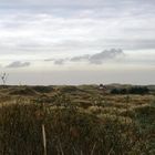 Herbst in den Dünen