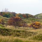 Herbst in den Dünen auf Norderney