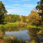 Herbst in den Elbauen