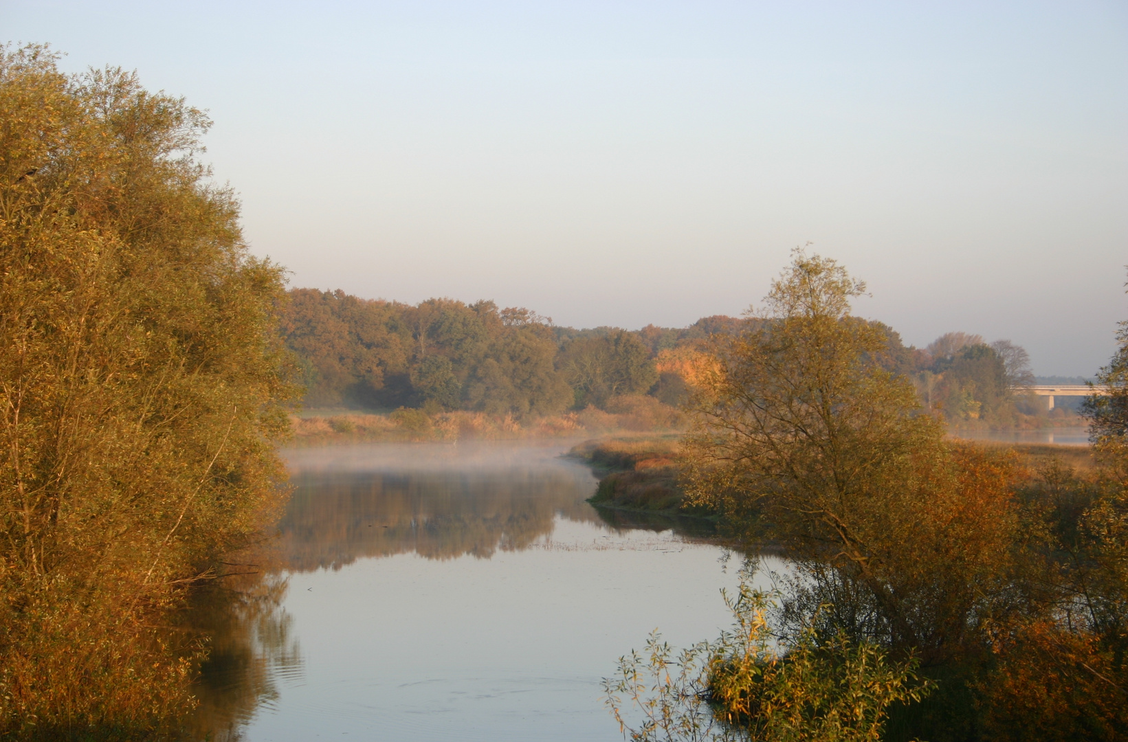 Herbst in den Elbwiesen