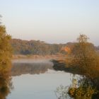 Herbst in den Elbwiesen