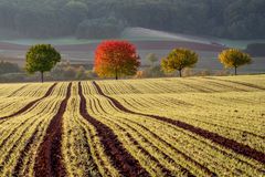 *Herbst in den Feldern*