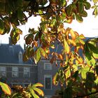 Herbst in Den Haag