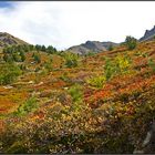 Herbst in den Hochalpen auf 2200 Meter