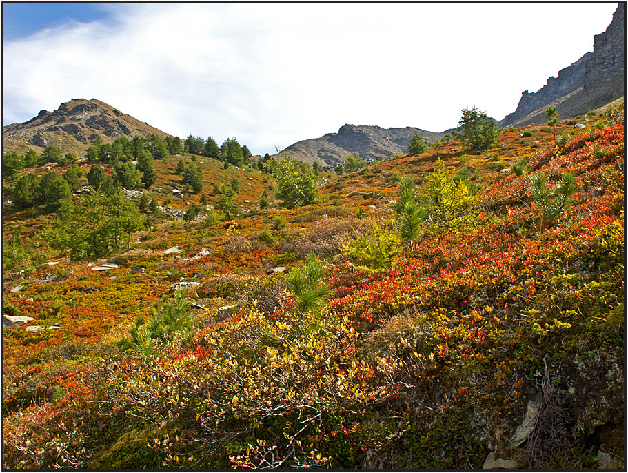 Herbst in den Hochalpen auf 2200 Meter