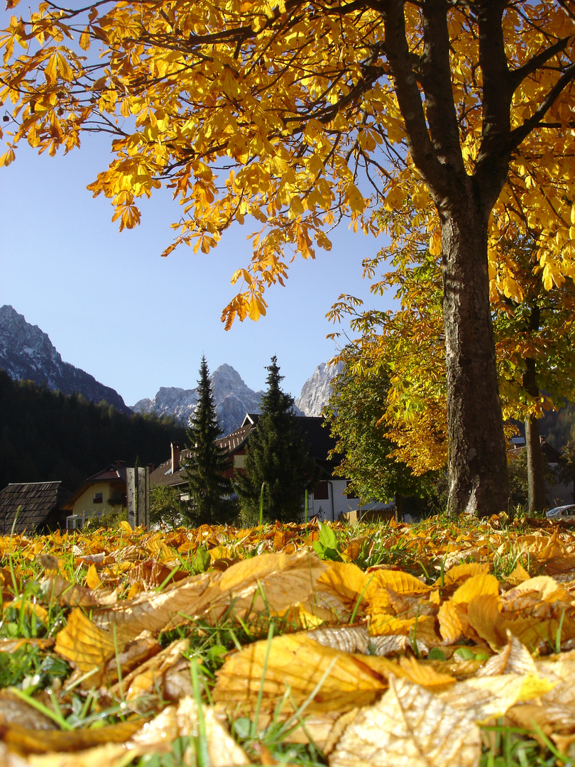 Herbst in den Julischen Alpen