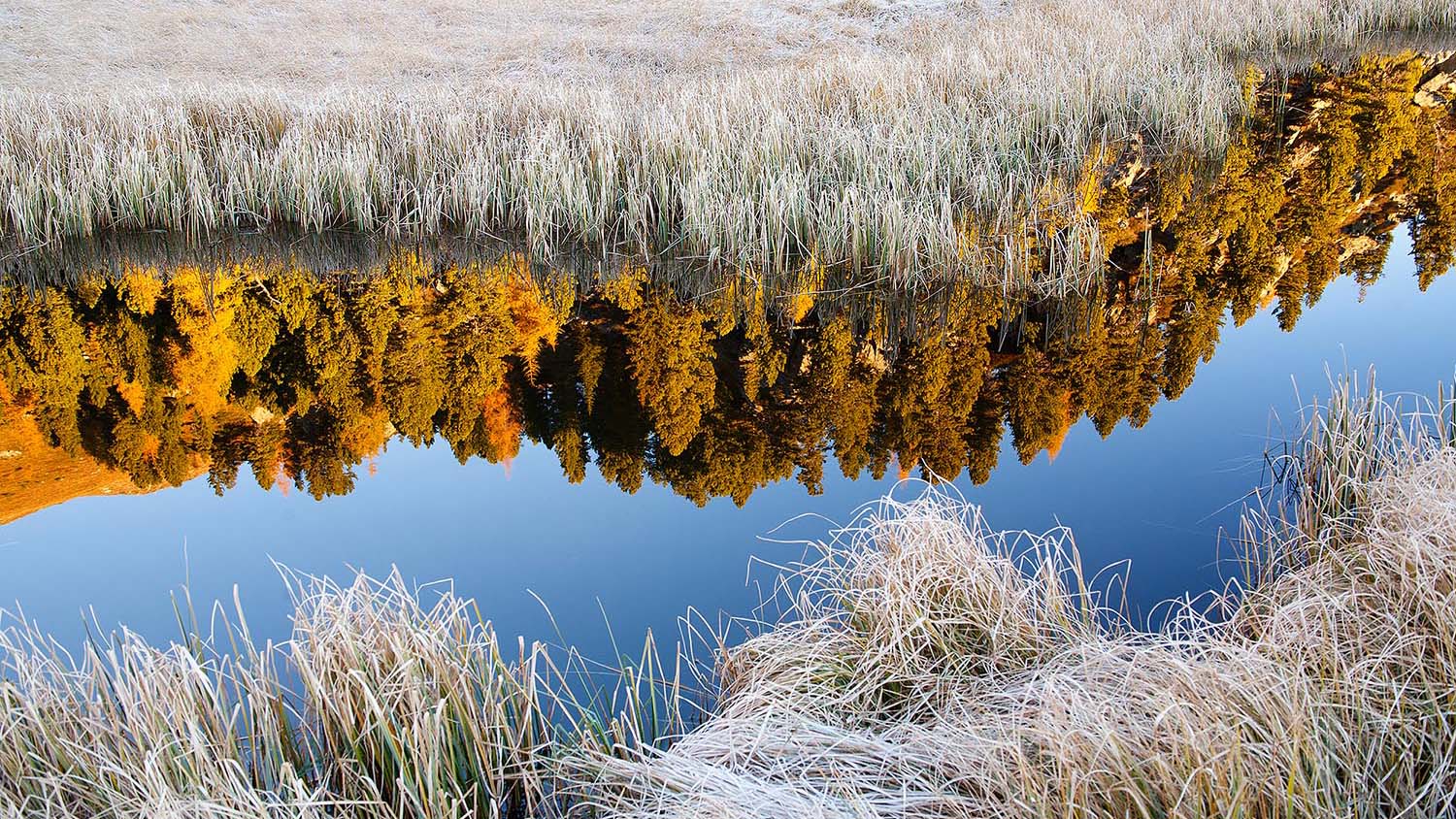 Herbst in den Kaerntner Nockbergen _MG_0344 H Glader