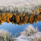 Herbst in den Kaerntner Nockbergen _MG_0344 H Glader