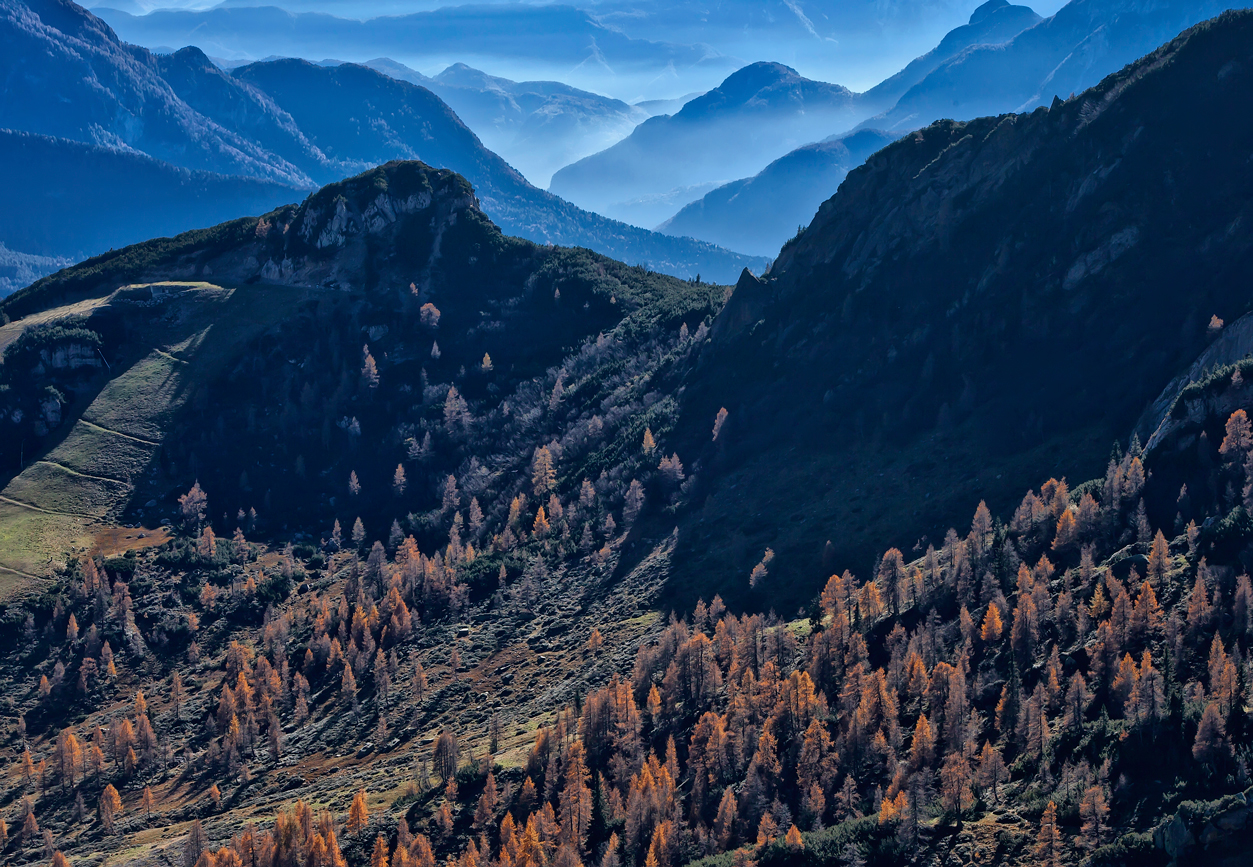 Herbst in den Karnischen Alpen II