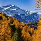 Herbst in den Larchböden 