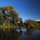 Herbst in den Lippeauen