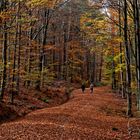 Herbst in den Löwensteiner Bergen