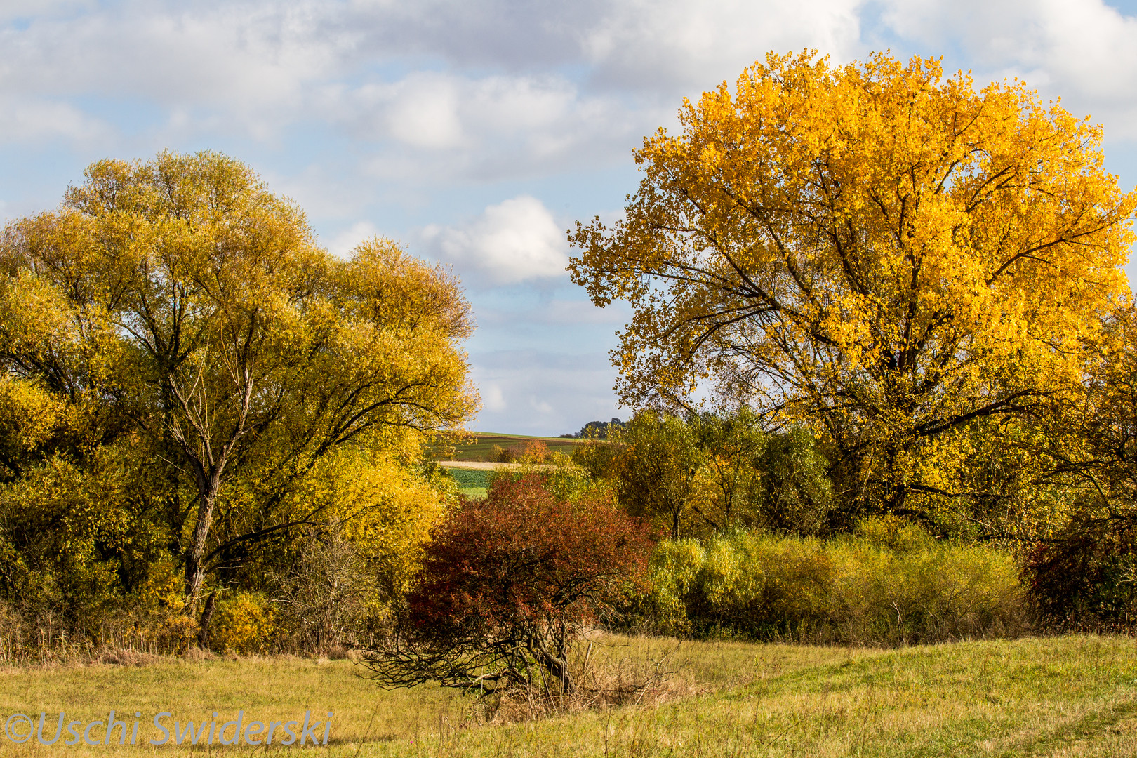 Herbst in den Mainauen