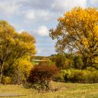 Herbst in den Mainauen