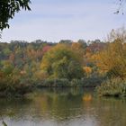 HERBST in den Mainauen