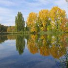 HERBST in den Mainauen