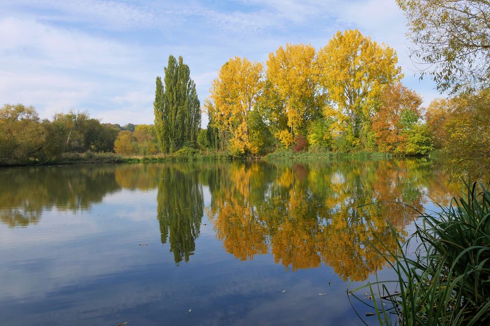 HERBST in den Mainauen