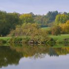 HERBST in den Mainauen