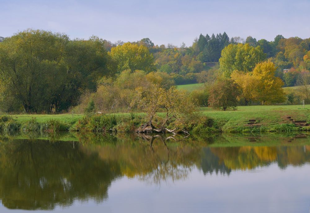 HERBST in den Mainauen