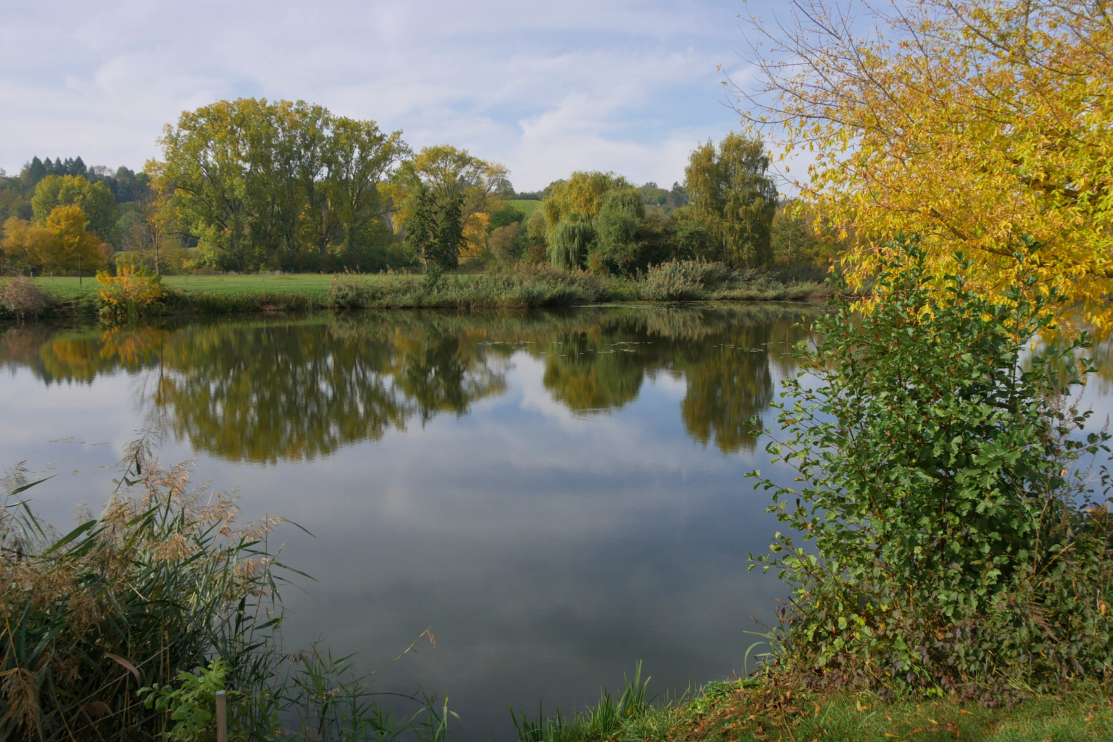 HERBST in den Mainauen