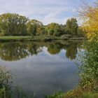 HERBST in den Mainauen