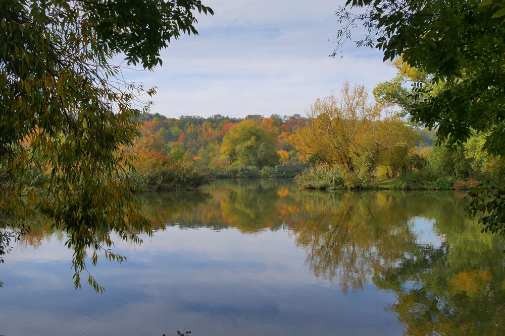 HERBST in den Mainauen