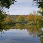 HERBST in den Mainauen