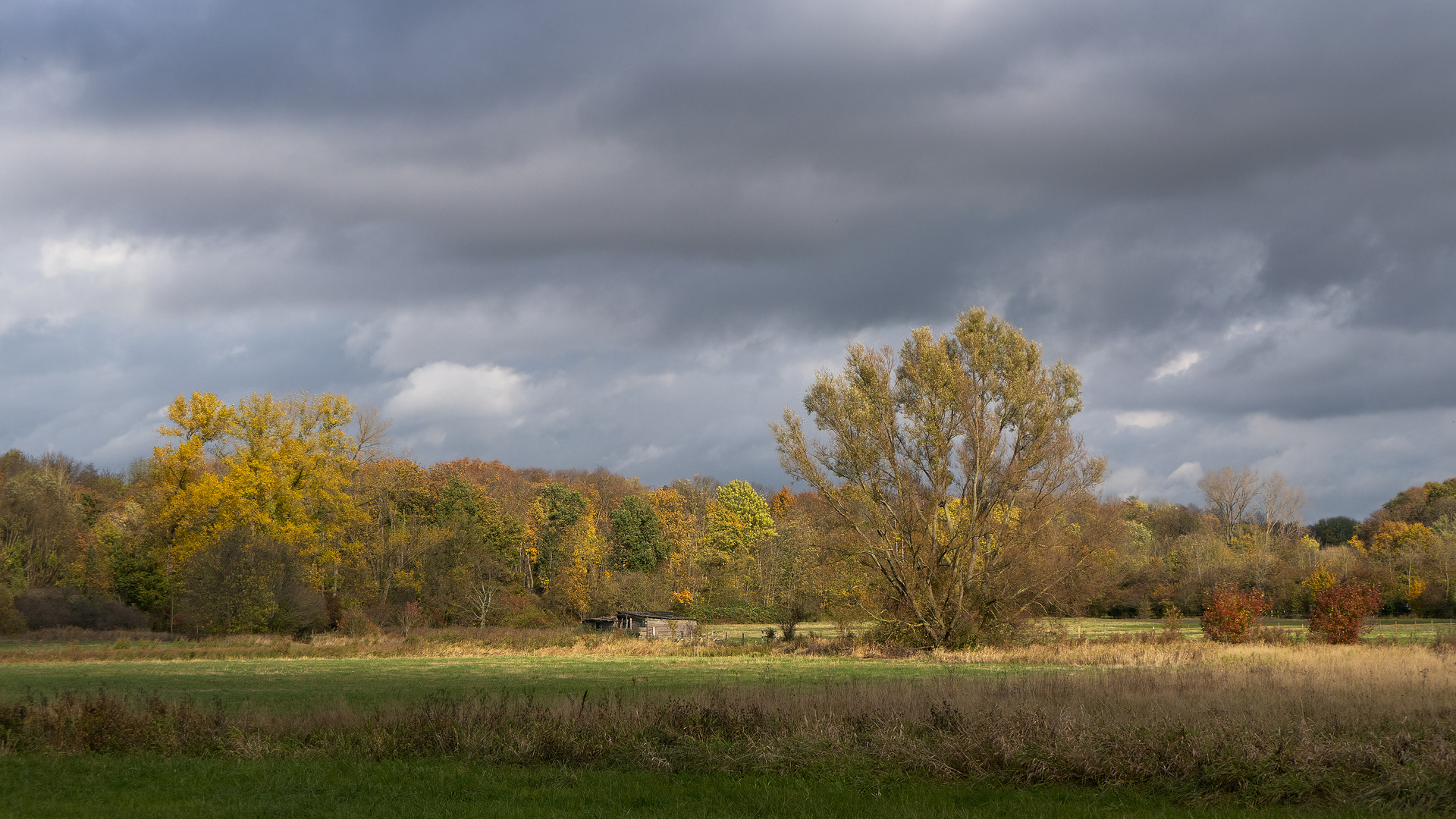 Herbst in den Mardalwiesen