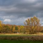 Herbst in den Mardalwiesen