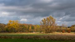 Herbst in den Mardalwiesen