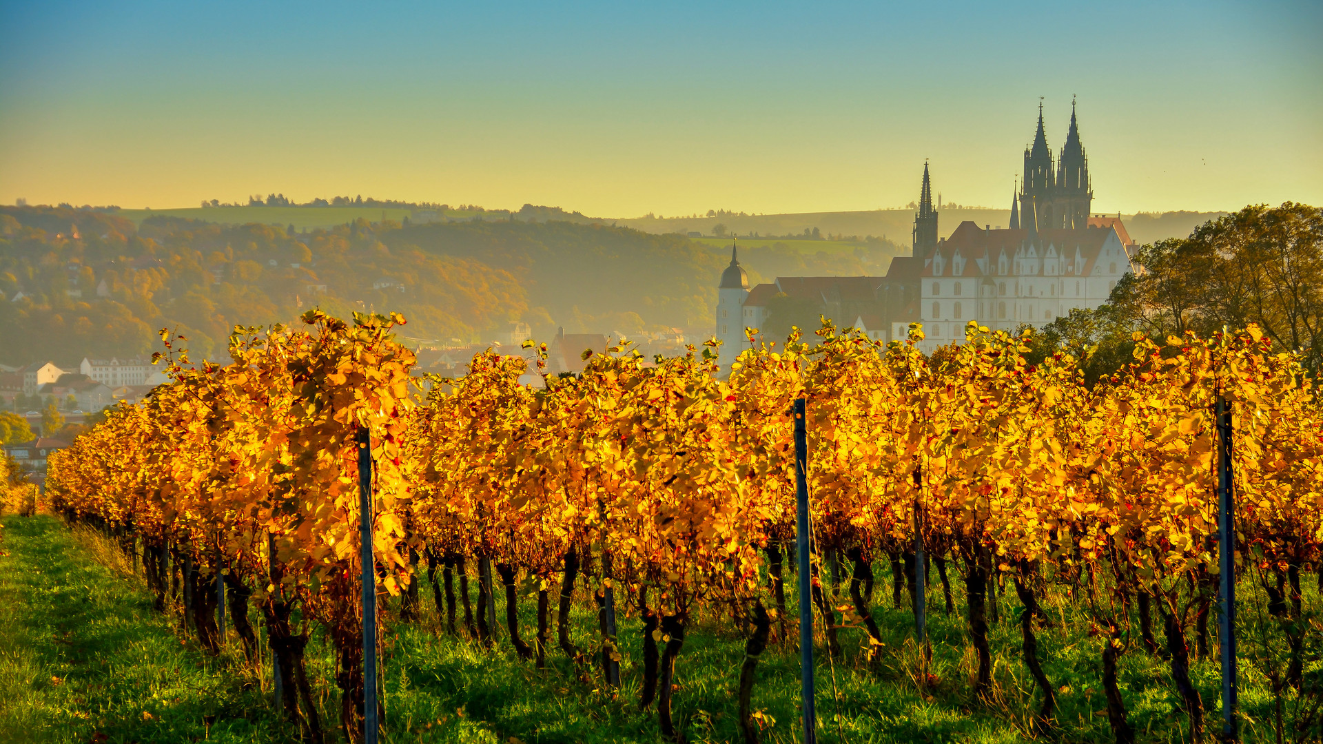 Herbst in den Meißner Weinbergen