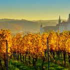 Herbst in den Meißner Weinbergen