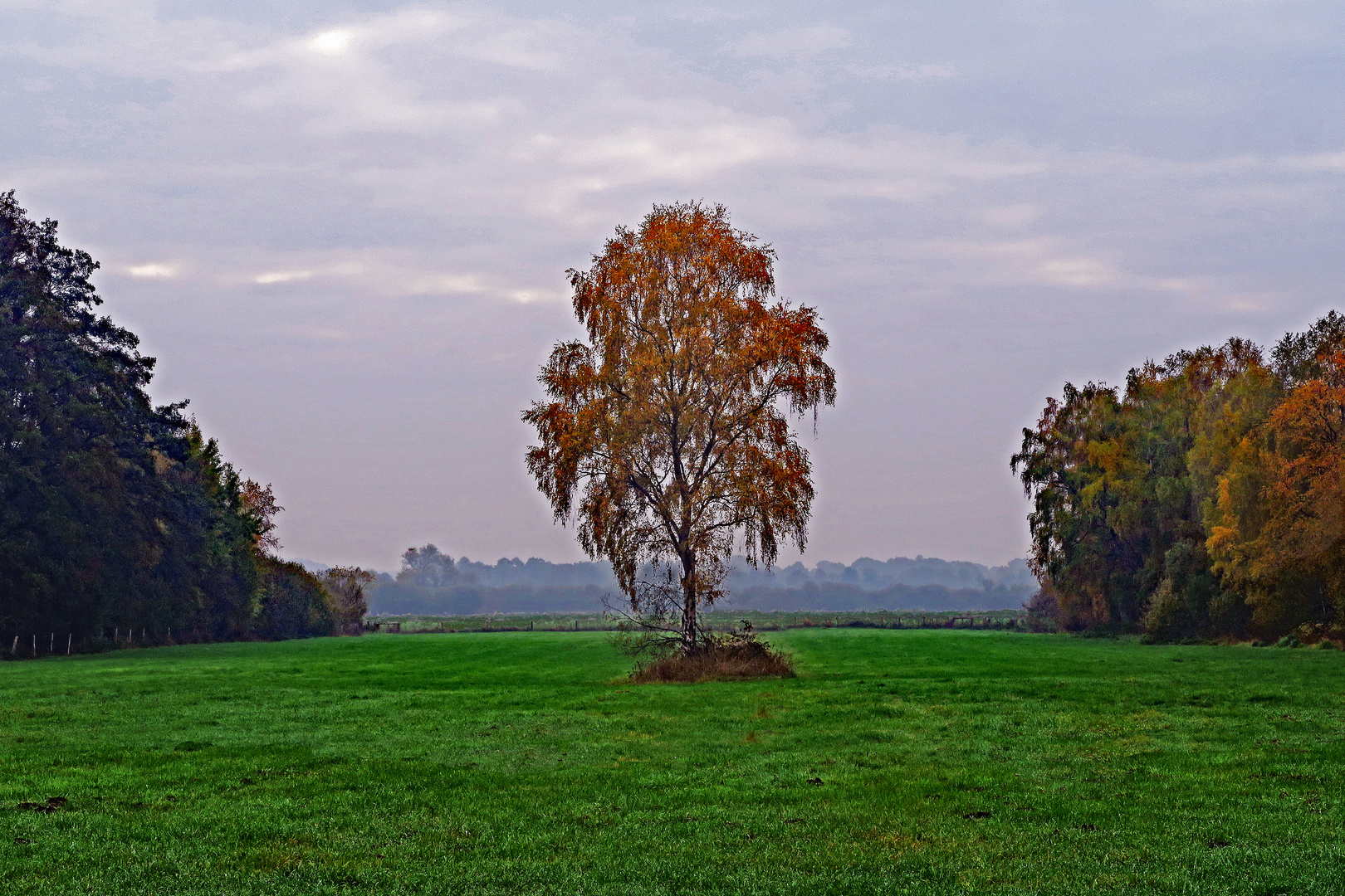 Herbst in den Moorwiesen