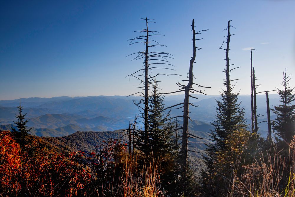 Herbst in den Mountains