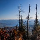 Herbst in den Mountains