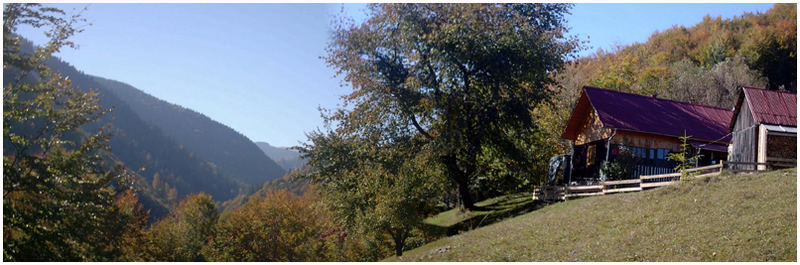 Herbst in den Muntii Apusenii