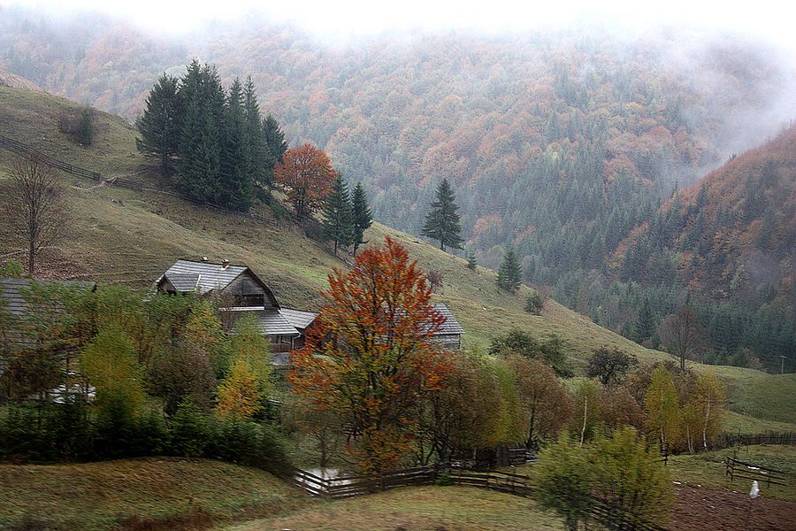 Herbst in den Ostkarpaten