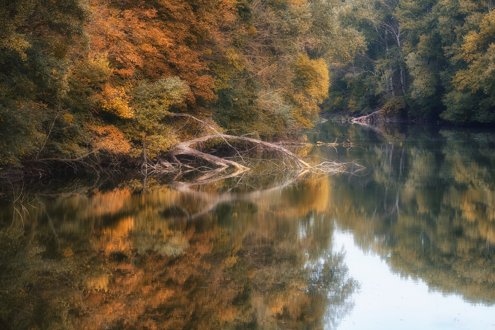 Herbst in den Praterauen