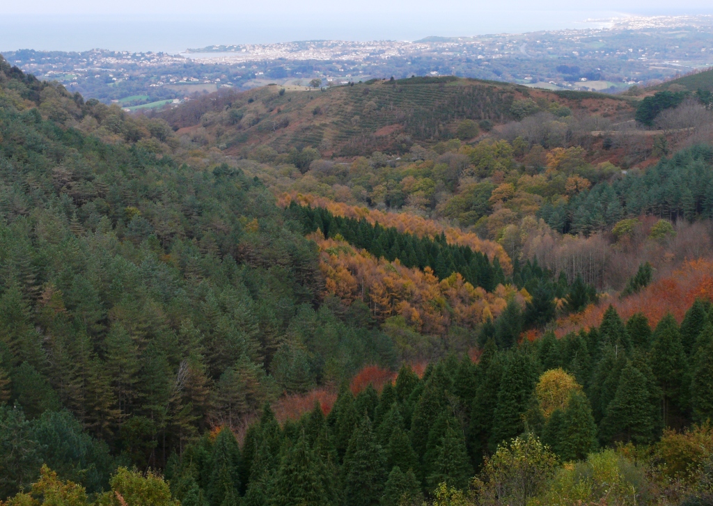 Herbst in den Pyrenäen
