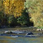 Herbst in den Pyrinäen # Otoño en los Pirineos