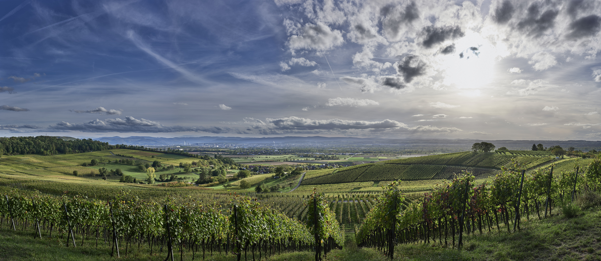 Herbst in den Reben