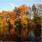 Herbst in den Rehbergen