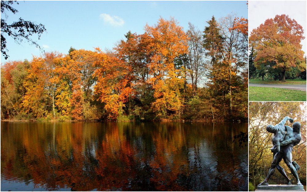 Herbst in den Rehbergen