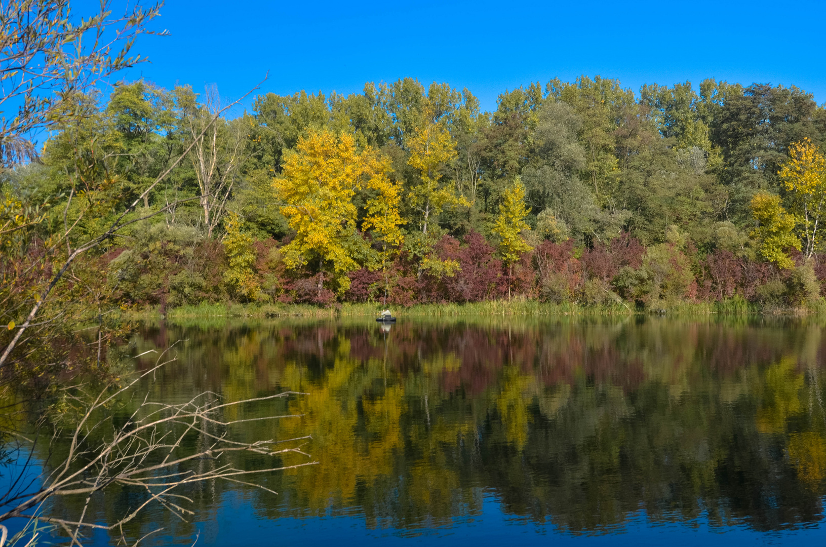 Herbst in den Rheinauen