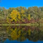 Herbst in den Rheinauen