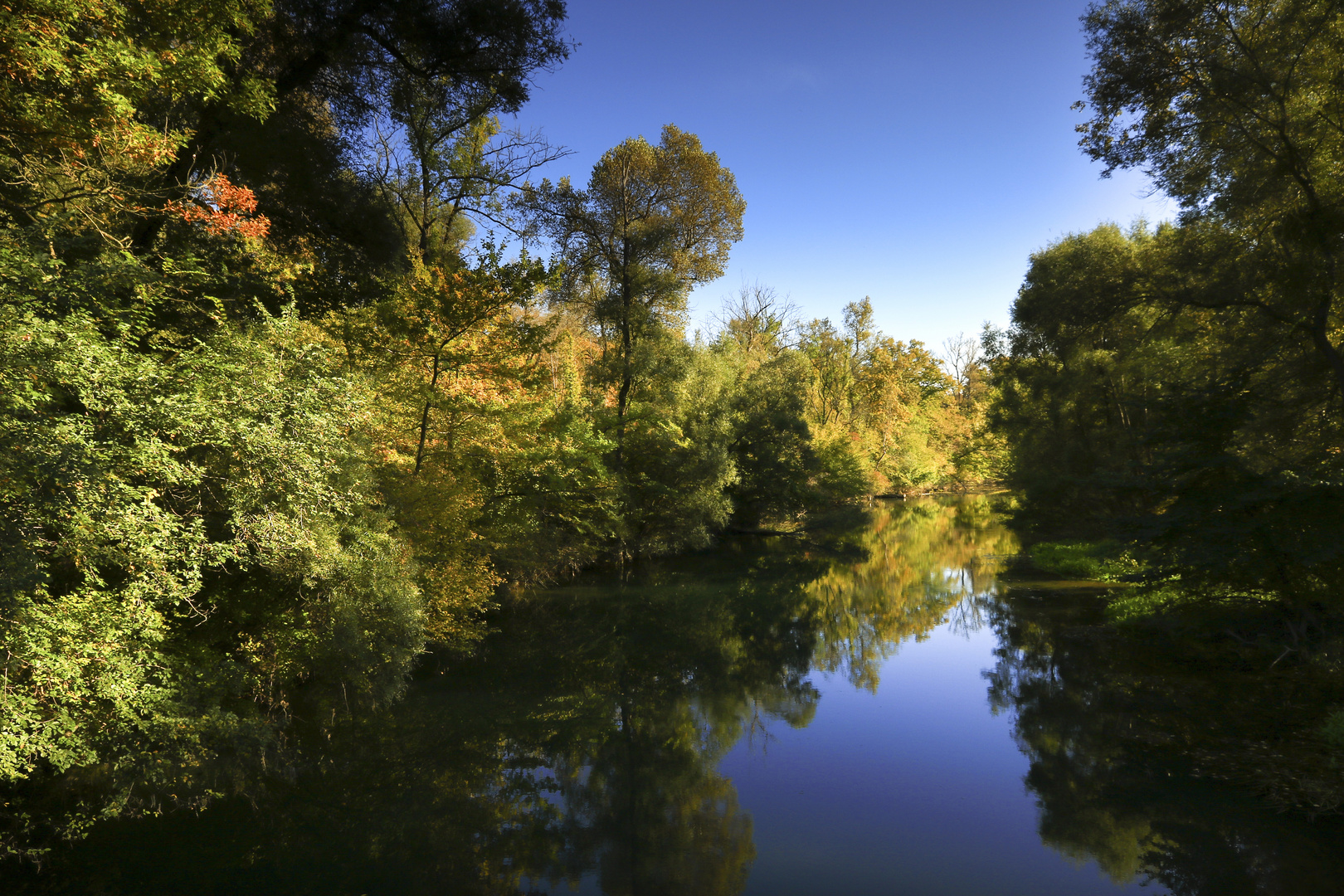 Herbst in den Rheinauen